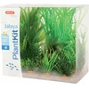 Zolux augalų dekoracija akvariumui Plantkit Jalaya, modelis 1