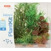 Zolux dekoratyvinis augalų rinkinys akvariumui Plantkit Jalaya modelis 2