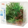 Zolux dekoratyvinis augalų rinkinys akvariumui Plantkit Jalaya modelis 2