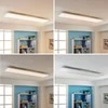 „Arcchio Enja“ LED skydelis, 119,5 cm x 29,5 cm
