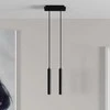 Archchio Franka LED pakabinamas šviestuvas, 2 liepsnos