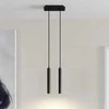 Archchio Franka LED pakabinamas šviestuvas, 2 liepsnos