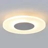 Dekoratyvinis LED lubinis šviestuvas Tarja