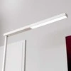 LED biuro toršeras Tamilo, baltas