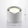 LED lubų prožektorius Mabel, apvalus, baltas