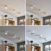 LED lubų prožektorius Mabel, apvalus, baltas