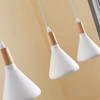 LED pakabinamas šviestuvas Arina baltos spalvos, 5 lemputės