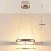LED pakabinamas šviestuvas Risto nikelio, žiedo formos