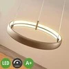 LED pakabinamas šviestuvas Risto nikelio, žiedo formos