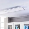 Lindby Livel LED skydelis, CCT, 80cm x 30cm