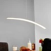 Lorian LED pakabinamas šviestuvas