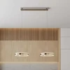 Lyani LED pakabinamas šviestuvas, 2 žiedai vienas šalia kito