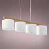 Pakabinamas šviestuvas Troy Pendant IV Baltas-Brown 3270