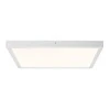 Lubinis šviestuvas Paulmann Lunar 706.47 LED skydelis 27.5 W Šiltai balta Balta (matinė)