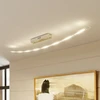 Ryškiai šviečiantis Jarda LED lubinis šviestuvas