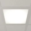 Šviesus LED skydelis Vinas, 62 cm