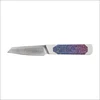 Kizer Hallow 1123A4 peilis su fiksuota geležte