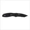Sulankstomas peilis Kershaw Blur Tanto 1670TBLKST