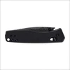 Sulankstomas peilis Kizer Aegis V3774A2
