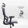 Re Stock Furniture Ergonominė biuro kėdė „Apex“