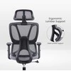 Re Stock Furniture Ergonominė biuro kėdė „Apex“