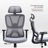 Re Stock Furniture Ergonominė biuro kėdė „Apex“
