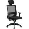 Re Stock Furniture Ergonominė biuro kėdė „ErgoPlus“