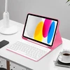 Tech-Protect SC Pen Case for iPad 10.9” 10 / 2022 / 11” 11 / 2025 - Rožinė
