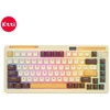 Klaviatūra Royal Kludge KZZI K75 Pro (Mousse) - Eternity Tactile switches