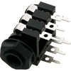 Blow Oem Lizdas AUX 6.3 ST - 20vnt