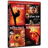 148 „Karate Kid“ kolekcija (4 filmai) – DVD