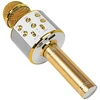PRM402 BLOW auksinis karaoke mikrofonas