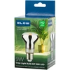 Blow E27 A60 LED 9W R80 lemputė augalų auginimui
