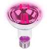Blow E27 A60 LED 9W R80 lemputė augalų auginimui