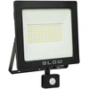 Blow LED prožektorius PIR SMD 100W