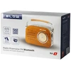 Nešiojamas analoginis radijas FM BT BLOW RA3
