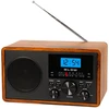 Nešiojamas analoginis AM/FM radijas BLOW RA9 V.2