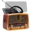 AM/FM BT BLOW RA10 nešiojamasis saulės analoginis radijas