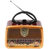 AM/FM BT BLOW RA10 nešiojamasis saulės analoginis radijas