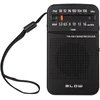 Nešiojamasis analoginis AM/FM radijas BLOW RA20