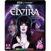 80 Elvira: Tamsos šeimininkė