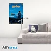 ABYstyle Abysse HARIS POTERIS - Pagalvėlė - Hedviga
