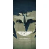 „Ace Combat 7: Skies Unknown“ („Top Gun: Maverick“ leidimas) – „PlayStation 4“