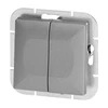Łącznik Sidabrinis dvigubas jungiklis Pearl, 10A, 250V, WP-2P