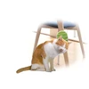 AFP „All For Paws“ – plaukų kirpimo mašina 2 viename 20,3 x 11 x 2,2 cm – (781.1025)