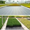 Juoda agroplėvelė LEAN 160 cm x 50 m UV 90 g/m² nuo piktžolių