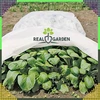 Agrowłóknina Žieminė agrotekstilės danga 50 g 1,6 m x 100 m balta stora danga