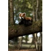 Animigos - Gamtos pasaulis Raudonoji panda (38474)