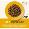 Applaws - Vištienos Kibble - 2kg