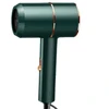 ATL Plaukų džiovintuvas AG440H žalias, 730W, 22 cm
